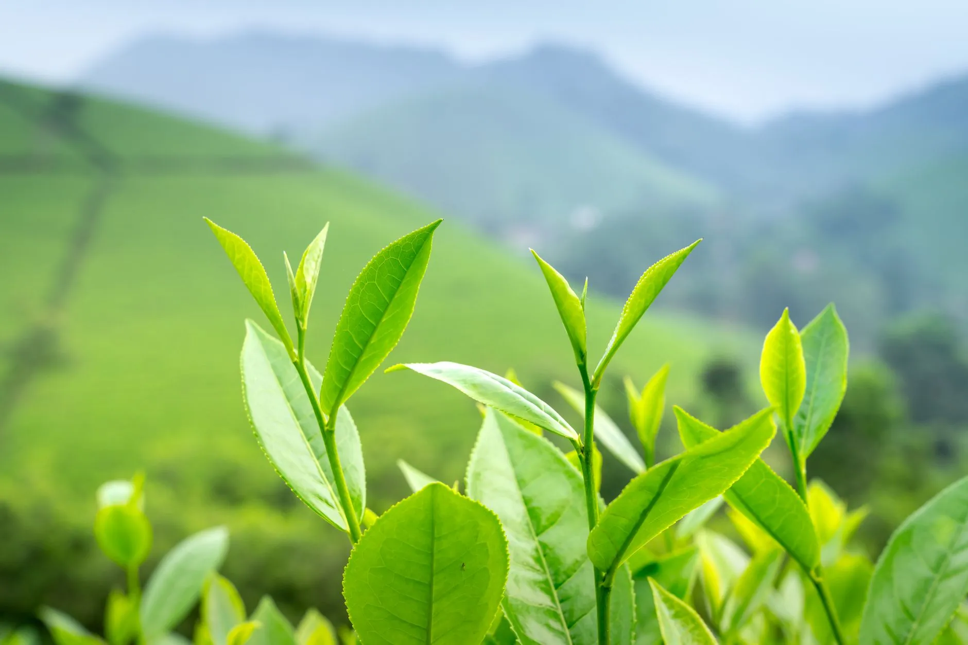 企业宣传片制作中的色彩管理与调色技术解析