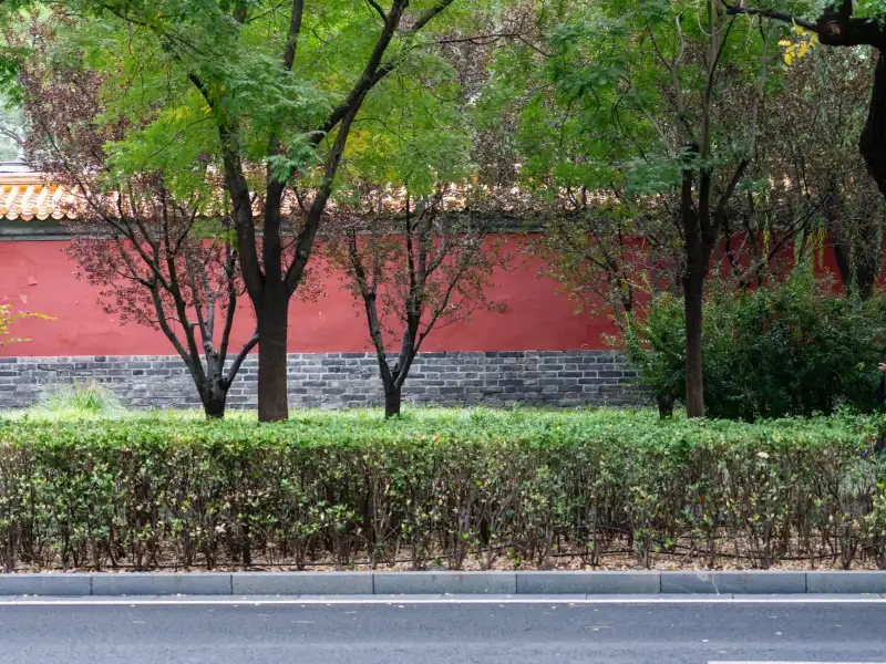 2024年企业宣传片与短视频制作成本对比:预算规划与价值分析