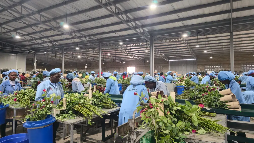 影视制作中无人机航拍技术的新应用与效果提升