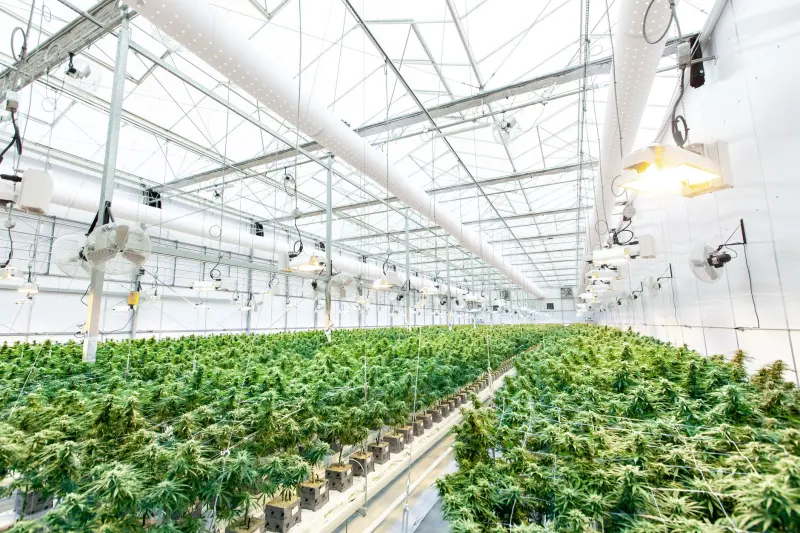 活动拍摄服务方案设计：志宁传媒如何保障多机位录制质量