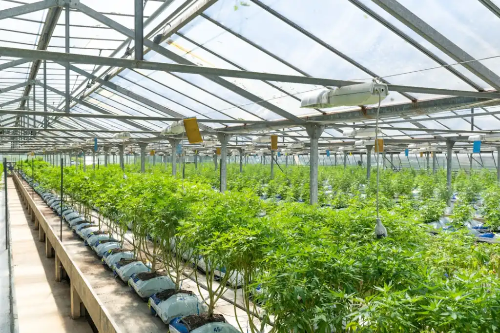 活动拍摄服务方案设计：志宁传媒如何保障多机位录制质量